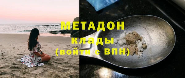 стаф Алзамай