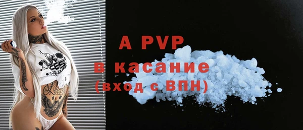 стаф Алзамай