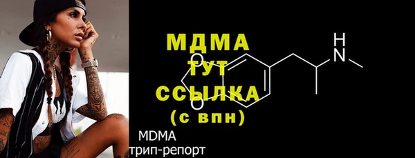 стаф Алзамай